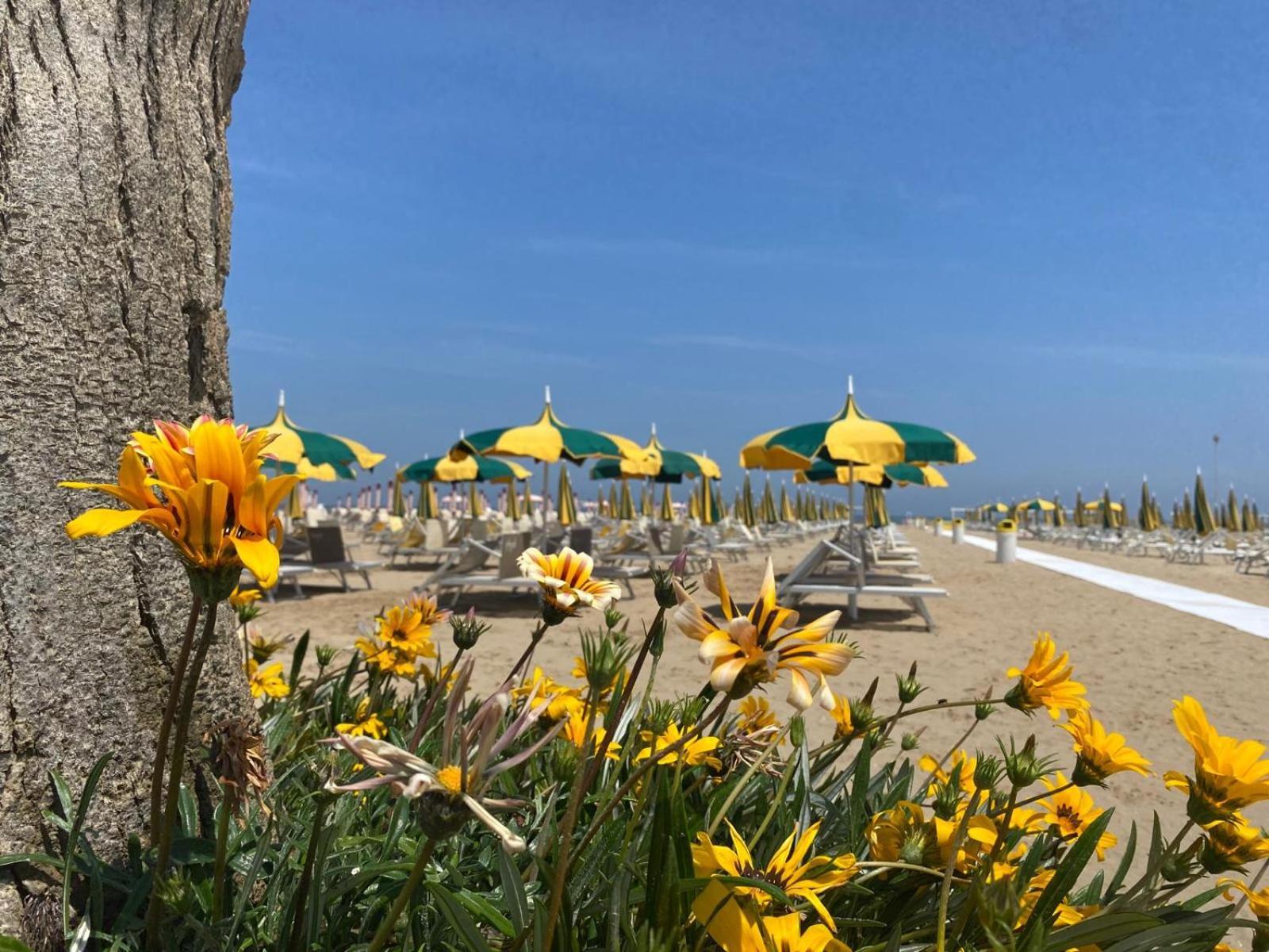 Rimini Bay Suites&Residence Ngoại thất bức ảnh